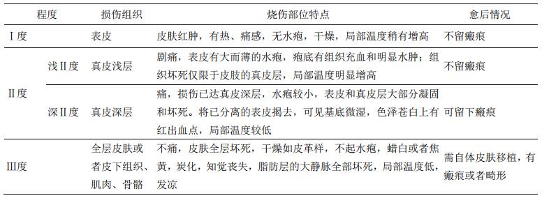 表 B.6 燒傷深度分度