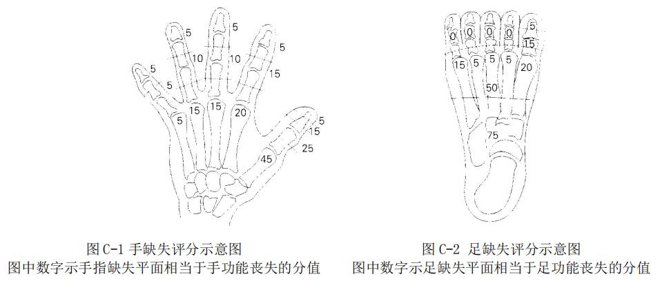 手、足缺失評(píng)分（圖C-1 和圖C-2）